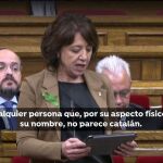 Anna Erra, hace 3 años en el Parlament