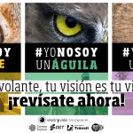 Imagen de la campaña