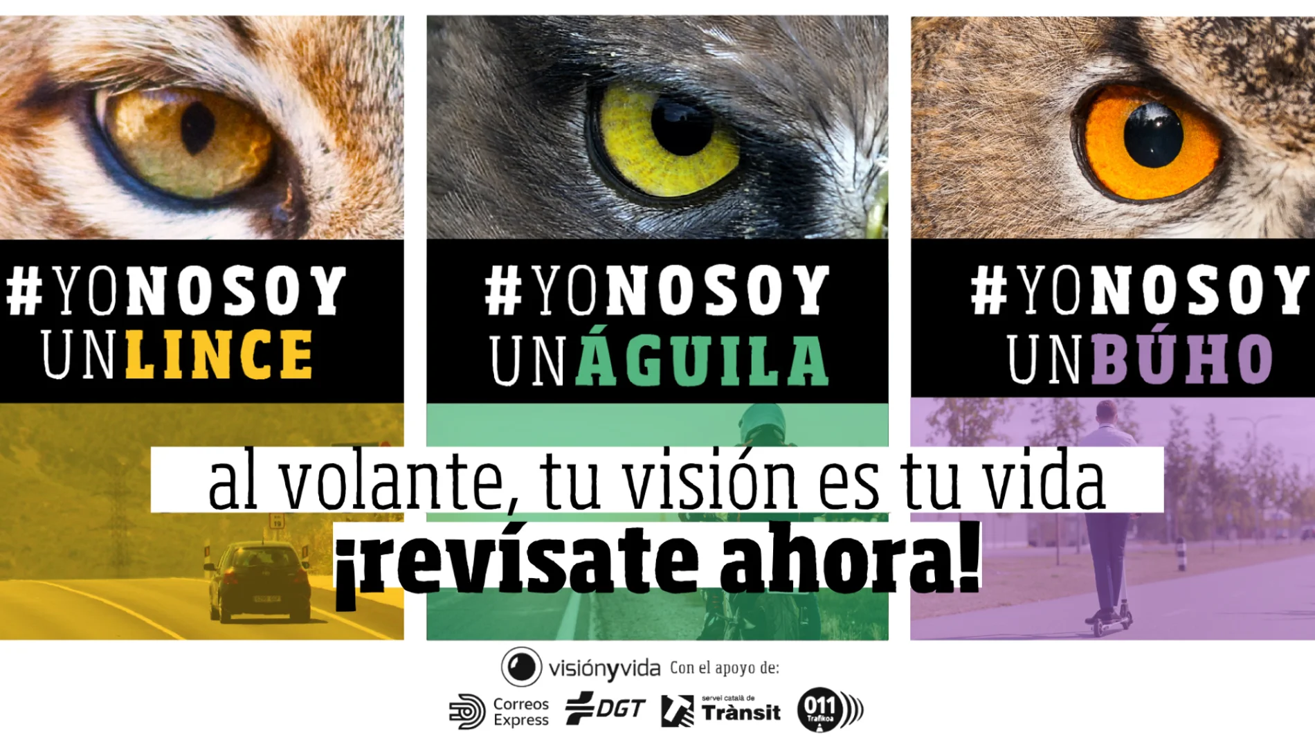 Imagen de la campaña