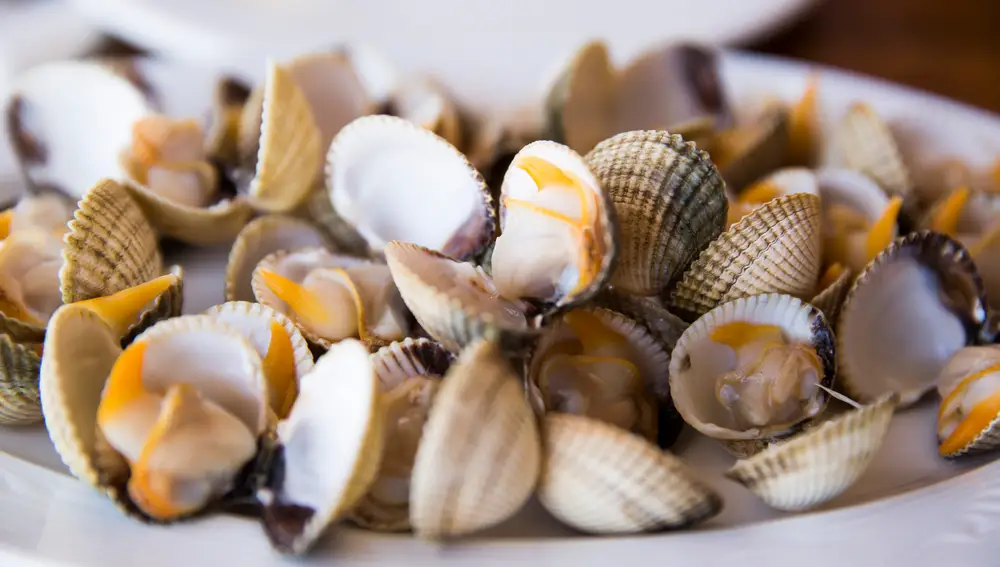 Berberechos, plato típico de la Ría