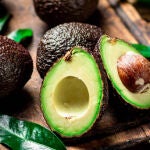 Aguacate