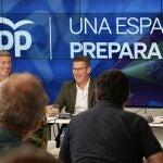 El líder del PP, Alberto Núñez Feijóo en rueda de prensa