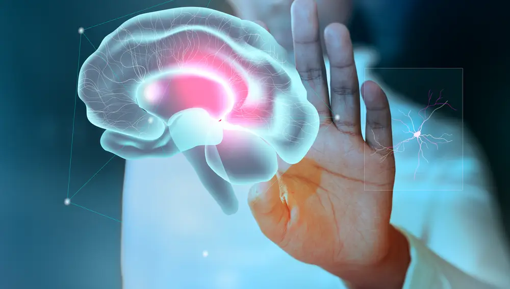 Holograma de un cerebro humano
