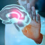 Holograma de un cerebro humano