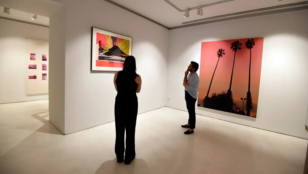 Colección FVMO – MP de Arte Contemporáneo