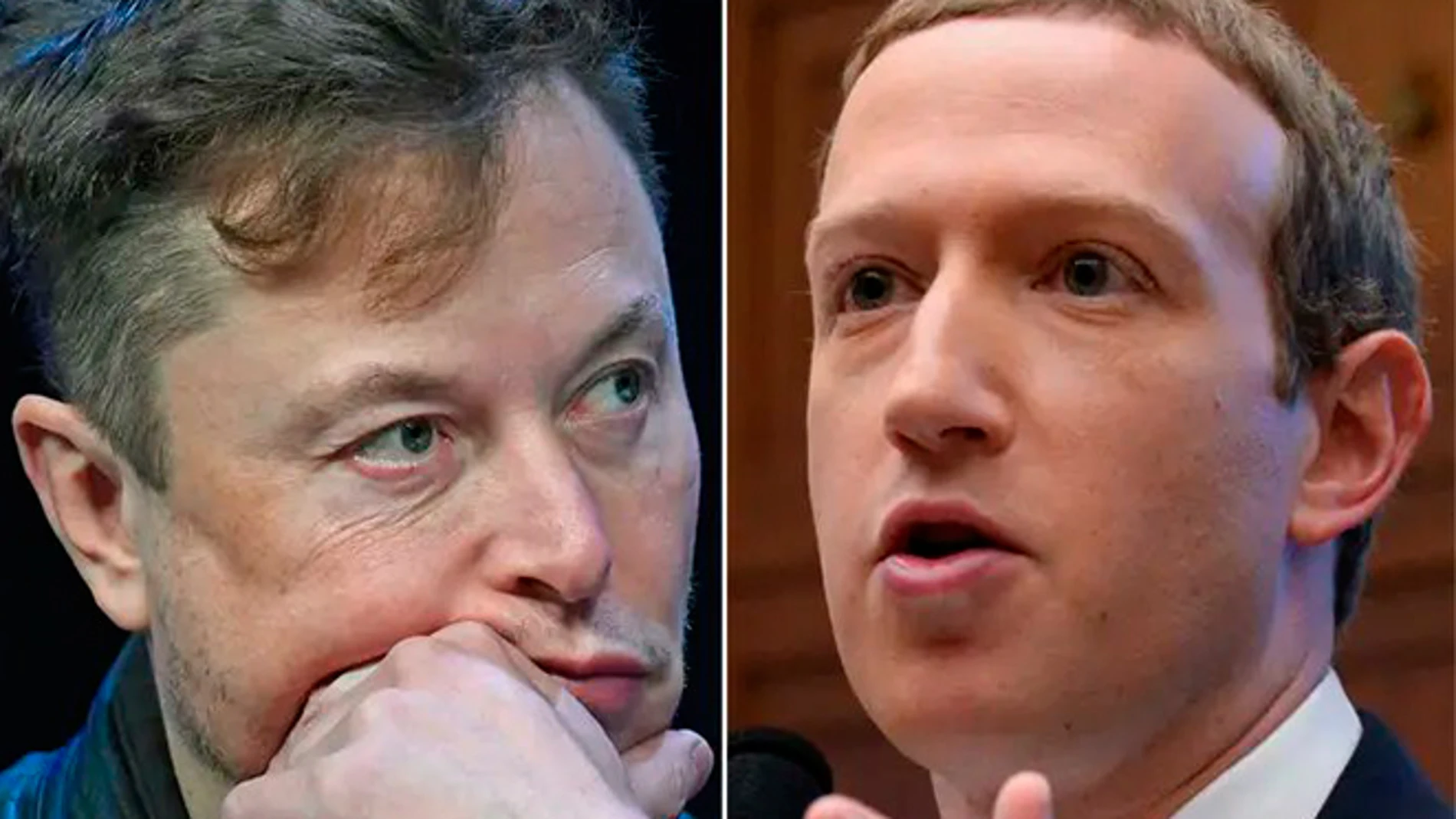 Elon Musk y Mark Zuckerberg estuvieron cerca de verse las caras sobre un ring