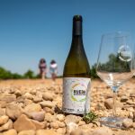 Ruta del Vino de Rueda
