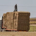 En Aznalcóllar (Sevilla), falleció el domingo otro vecino con motivo del calor