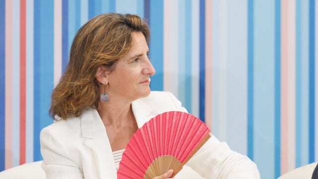 La vicepresidenta tercera y ministra para la Transición Ecológica y Reto Demográfico, Teresa Ribera interviene durante un encuentro con meteorólogos , en la sede del Ministerio, en Madrid. 