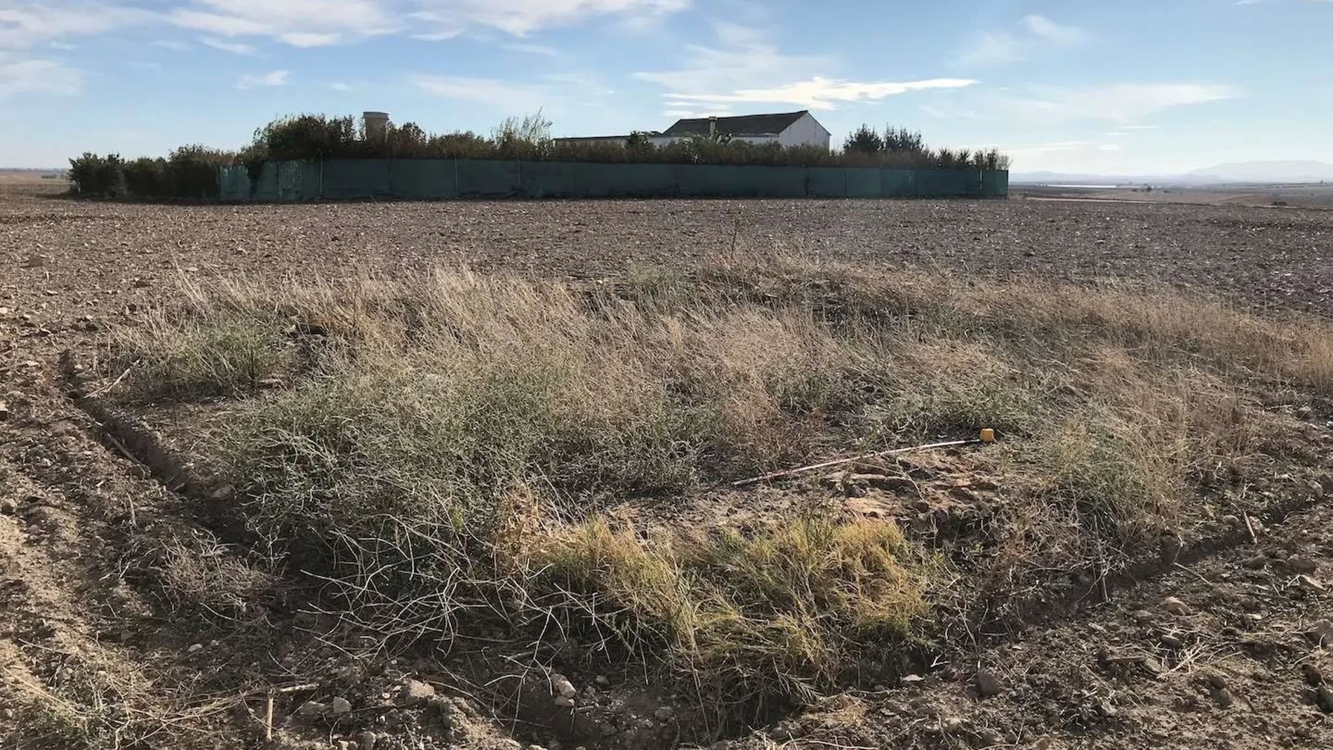 Zona de las prospecciones arqueológicas cerca del cortijo de El Catalán