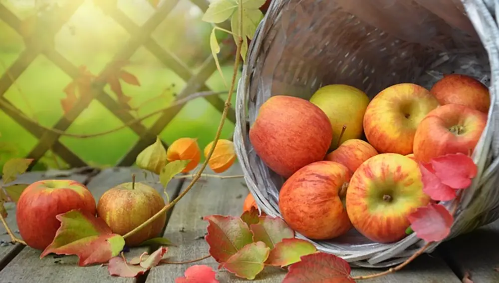 Manzanas