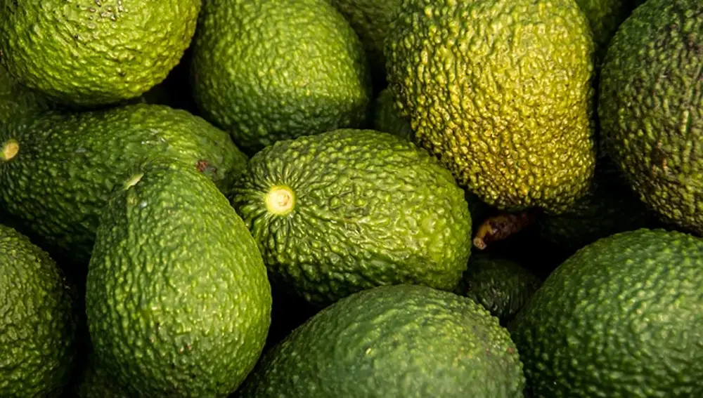 Aguacates