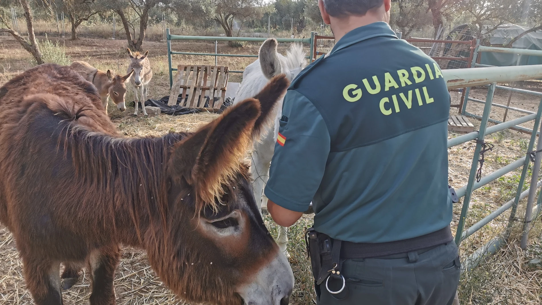 La Unidad de Burros Bomberos de Doñana se queda "fuera de servicio" por robo