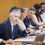 El ministro del Interior, Fernando Grande-Marlaska este miércoles durante la reunión de seguimiento de los delitos de odio