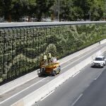 Los operarios daban ayer los últimos retoques a las paredes vegetales