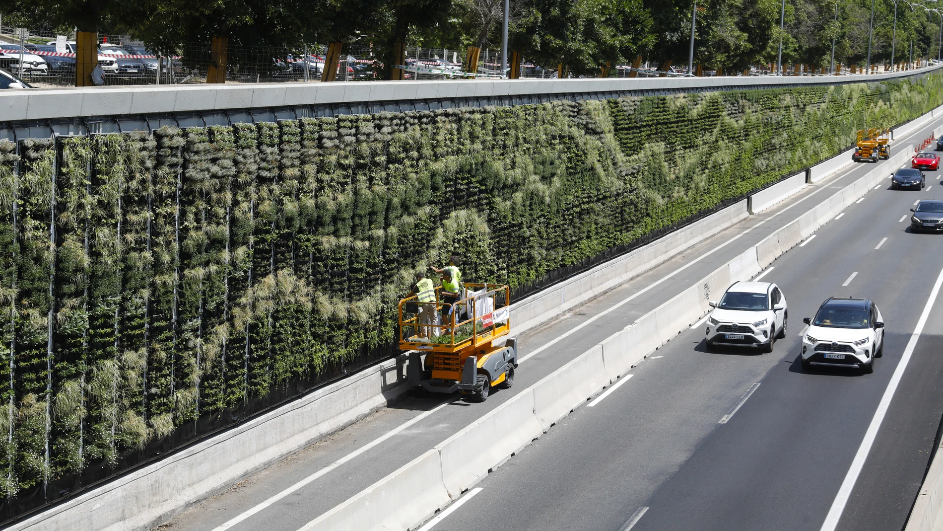 Los operarios daban ayer los últimos retoques a las paredes vegetales