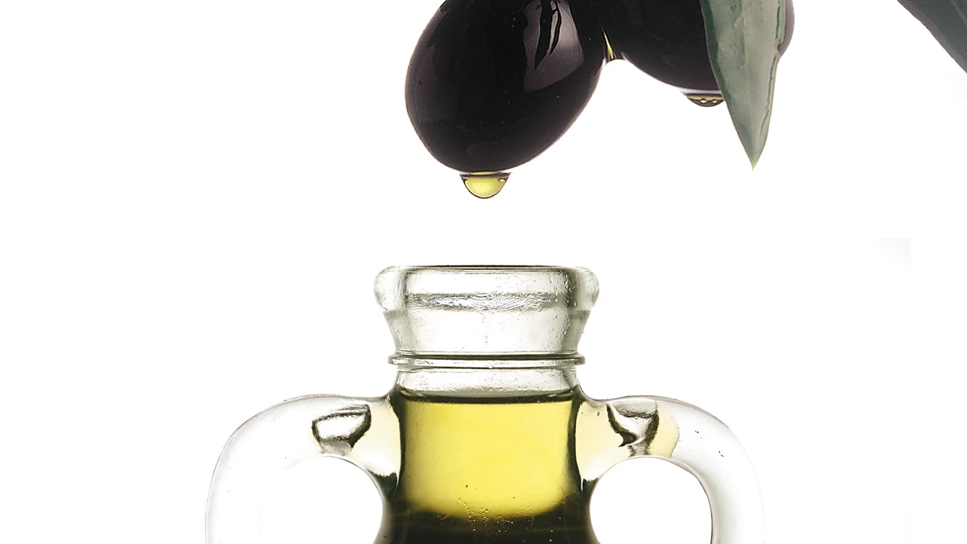 Aceitunas y aceite de oliva JUNTA DE ANDALUCÍA 07/07/2023