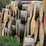 Llamas de la Ribera (León) contará con un nuevo centro logístico de biomasa forestal tras una inversión de 1,3 millones
