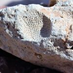 Imagen de archivo de un meteorito