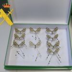Algunas de las mariposas intervenidas