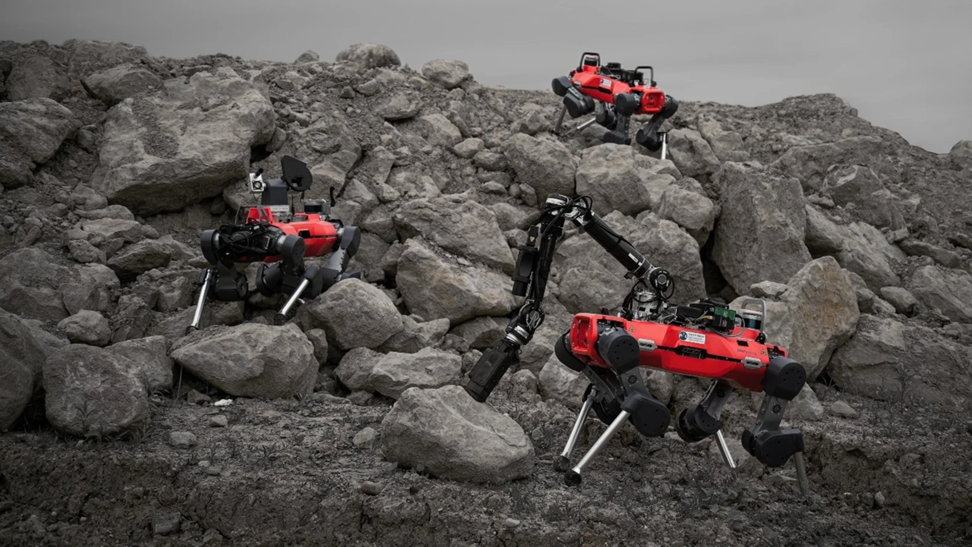 El trío de robots de patas durante una prueba en una cantera de grava suiza.
