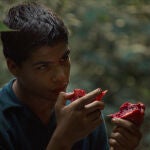 "La jauría", un cuento místico y violento sobre la posibilidad de ser mejor persona
