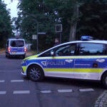 Germany Lion Alarm