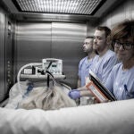 Donaci&oacute;n de &oacute;rganos