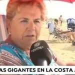 Señora en la playa sobre las medusas gigantes en la costa andaluza 
