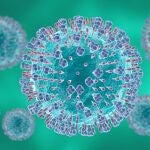 Virus respiratorio sincitial microscópico o VRS.