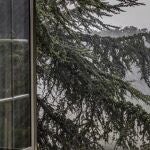 ¿Por qué deberías abrir las ventanas cuando llueve? Descubre los beneficios de dejar entrar el "olor a lluvia"