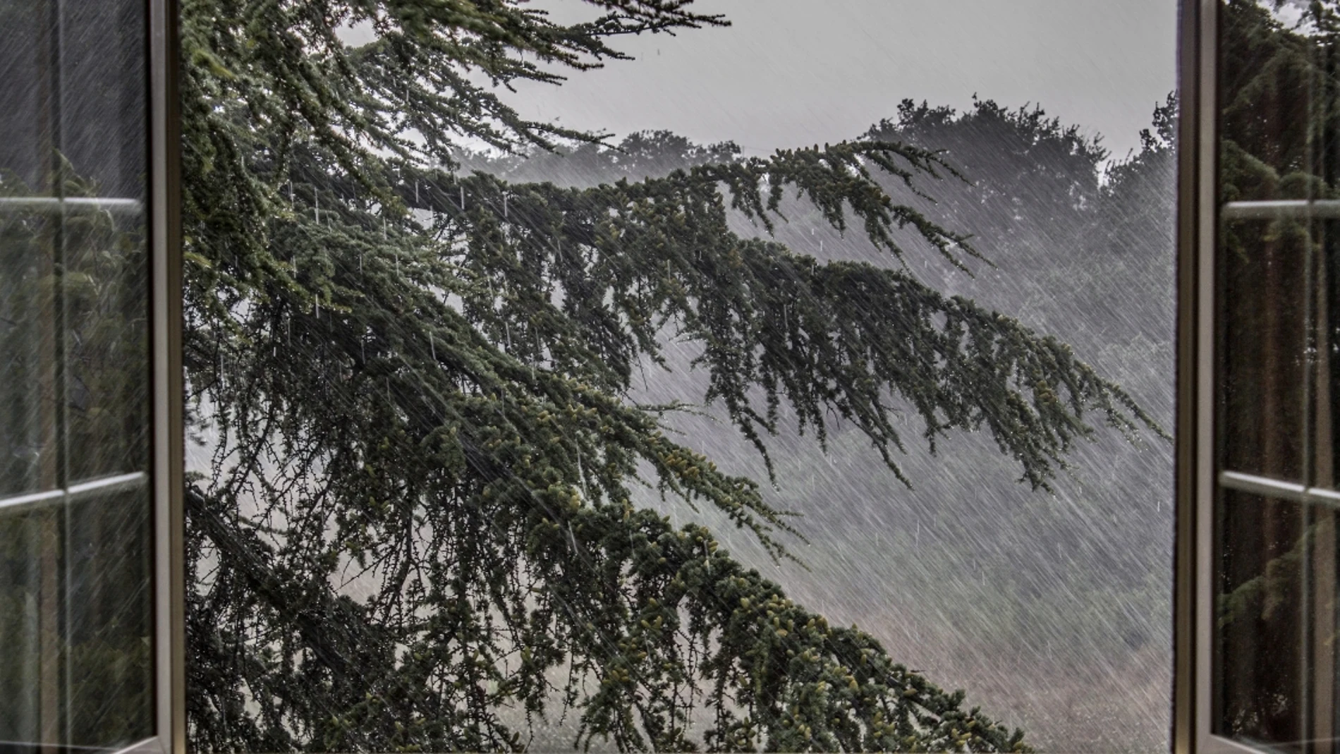 ¿Por qué deberías abrir las ventanas cuando llueve?
