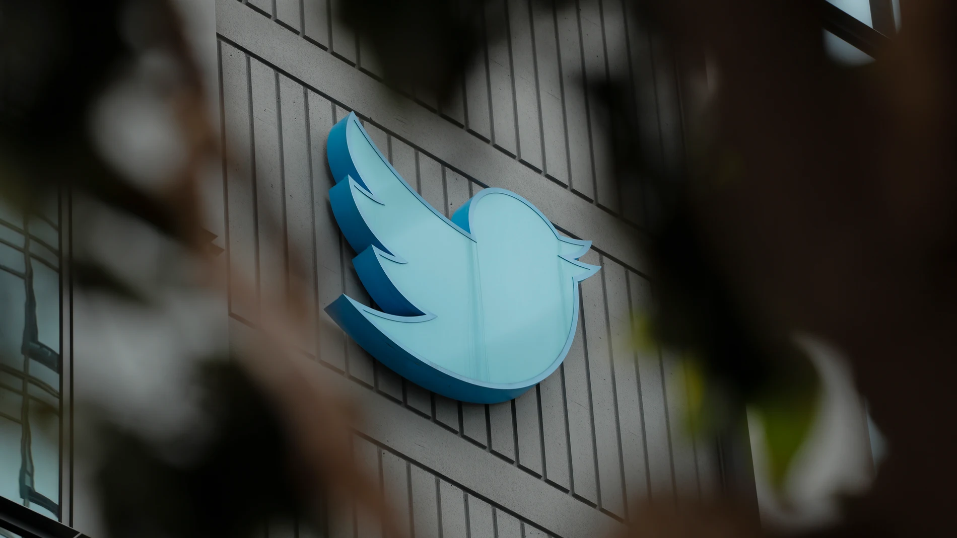 San Francisco (United States), 24/07/2023.- The iconic Twitter blue bird logo at the company'Äôs headquarters in San Francisco, California, USA, 24 July 2023. Work was underway to alter Twitter signs after Twitter owner Elon Musk annouced the rebranding of the social media platorm to X but was halted after San Francisco police responded to a call from building security that the signs were being stolen. A San Francisco police spokesperson stated that Twitter had a work order to take the sign d...