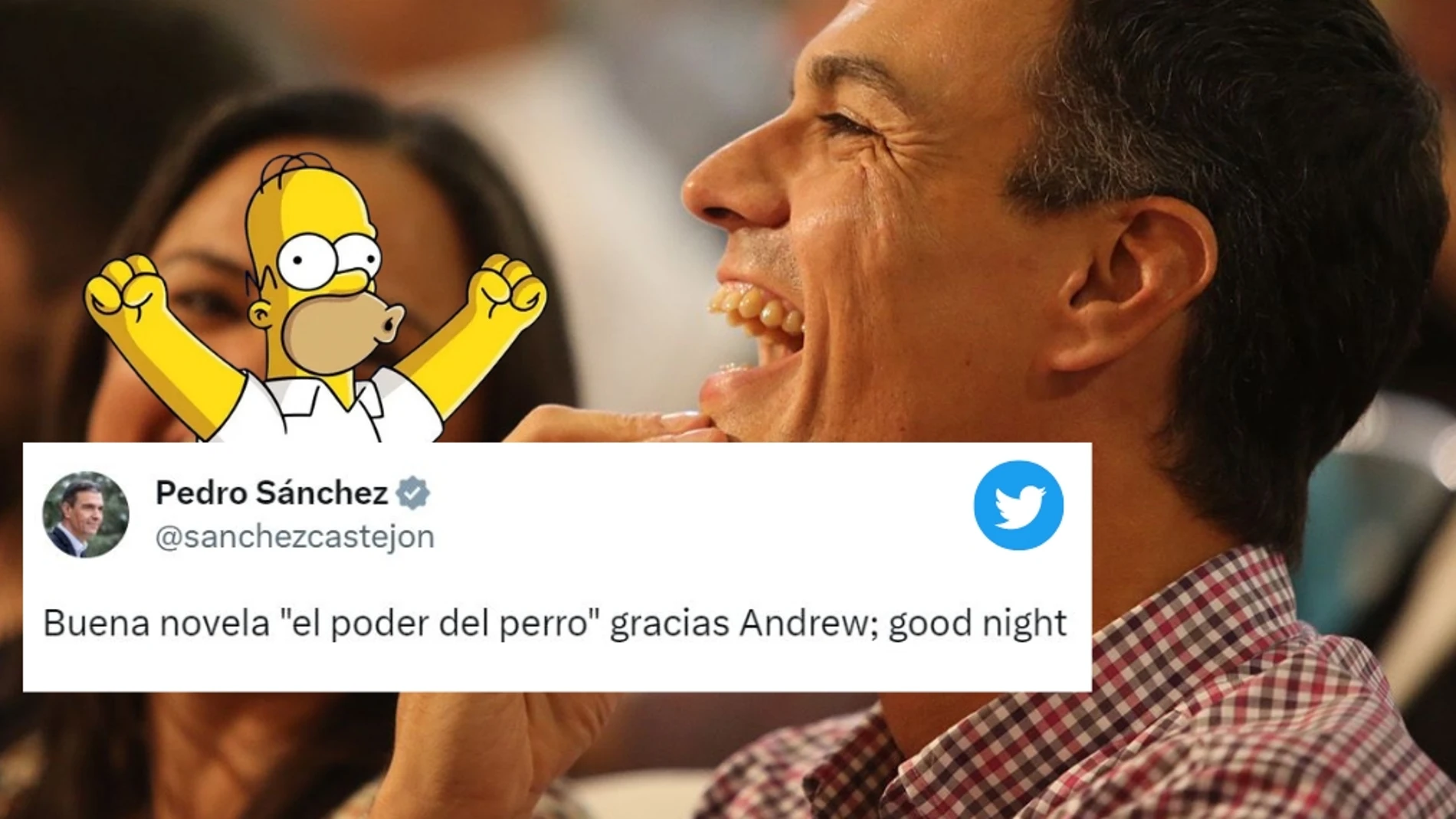 Pantallazo twitter @sanchezcastejon