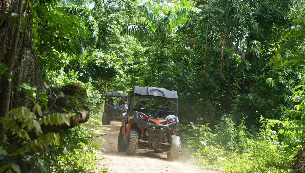 Ruta en buggy en plena naturaleza hasta la playa