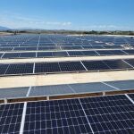 Fripozo potencia la sostenibilidad con la puesta en marcha de un proyecto fotovoltaico