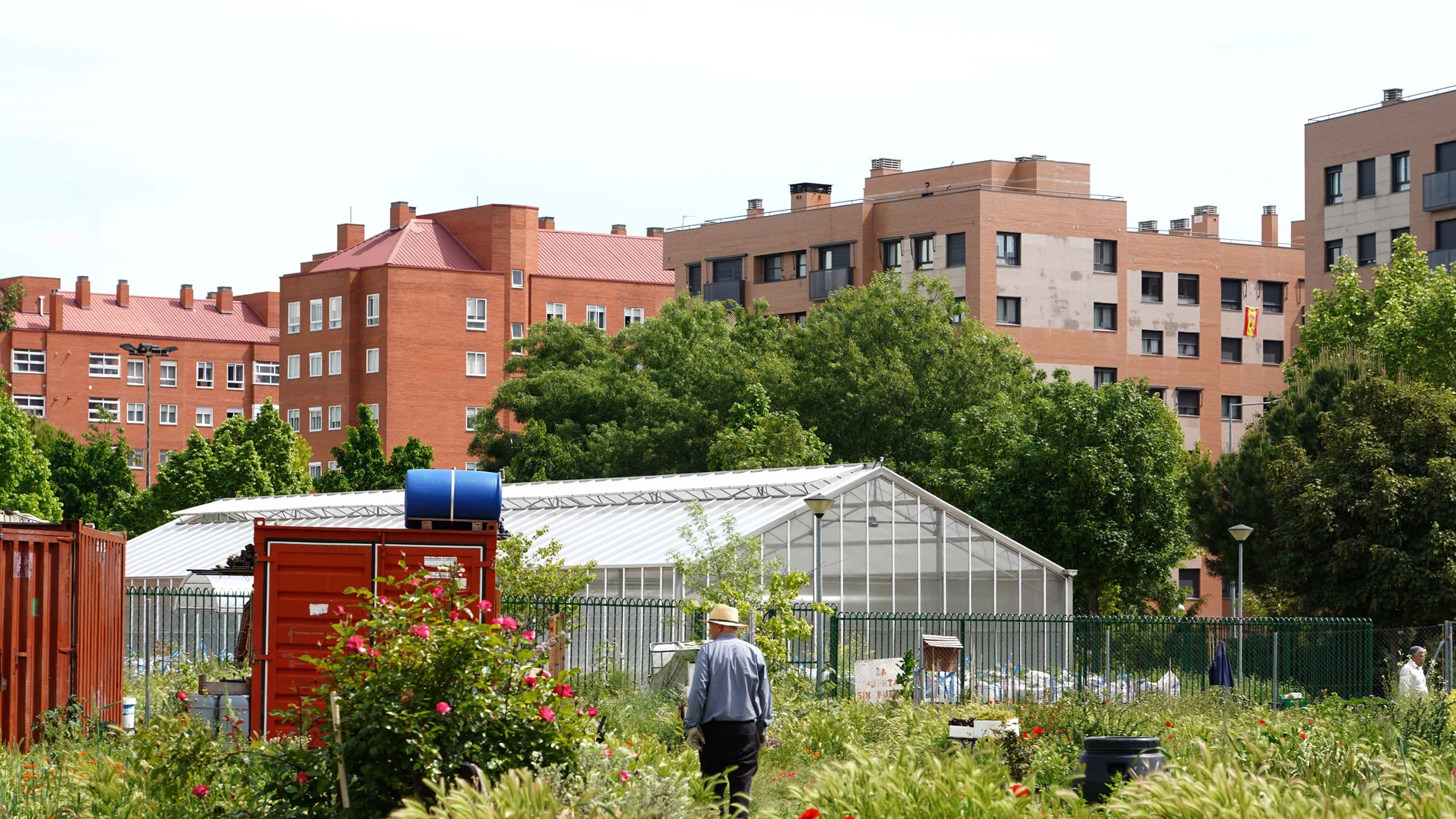 Huerto botánico en el barrio de la Victoria