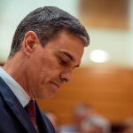 Pedro Sánchez