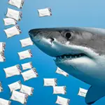 Tiburones adictos a la cocaína, el narcotráfico convierte a tiburones en 'máquinas de cocaína'