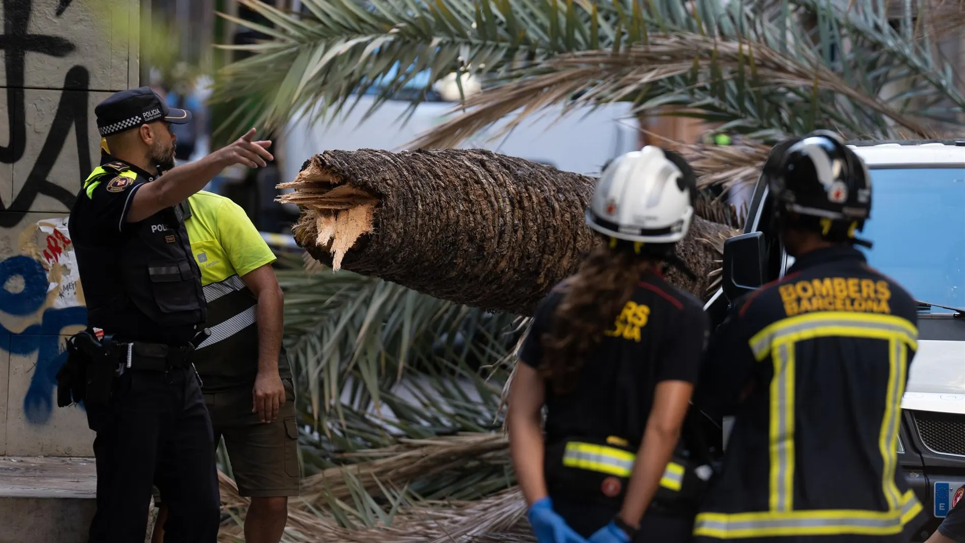 Los bomberos apartando la palmera del sitio de la caída