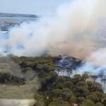 Un incendio en Puerto Real obliga a cortar la AP-4 en ambos sentidos