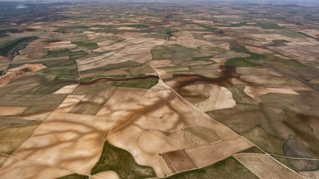 Consuegra (Toledo). La orografía del terreno evacúa el agua de lluvia por la zona oscurecida y, cuando no hay agua, deja la marca del cauce que provoca.