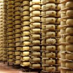 Accidente mortal: Un empresario italiano muere aplastado por 25.000 quesos Grana Padano