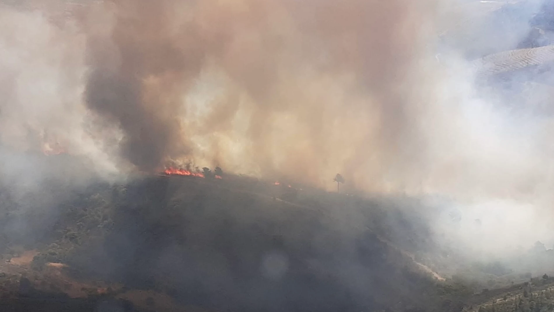 Imagen del incendio en La Raya