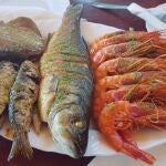 Gamba roja y lubina. 