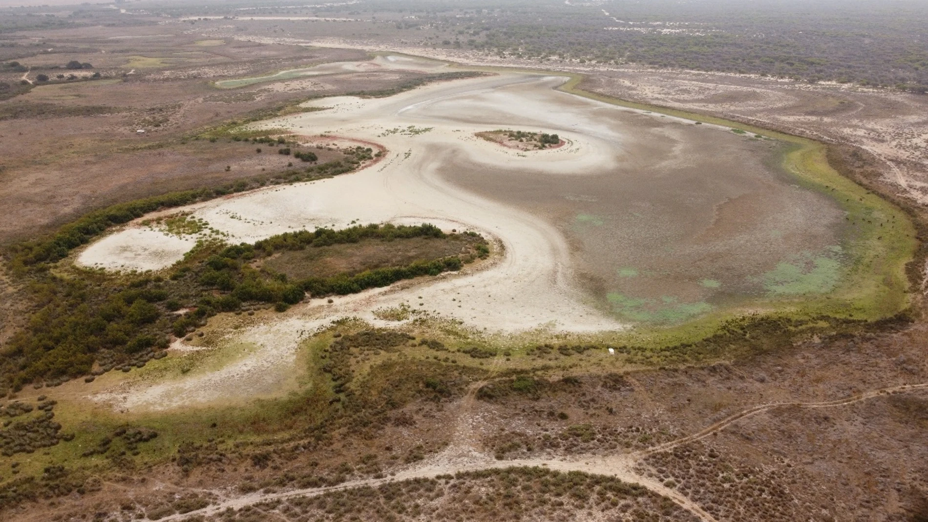 Aspecto que presenta la laguna de Santa Olalla