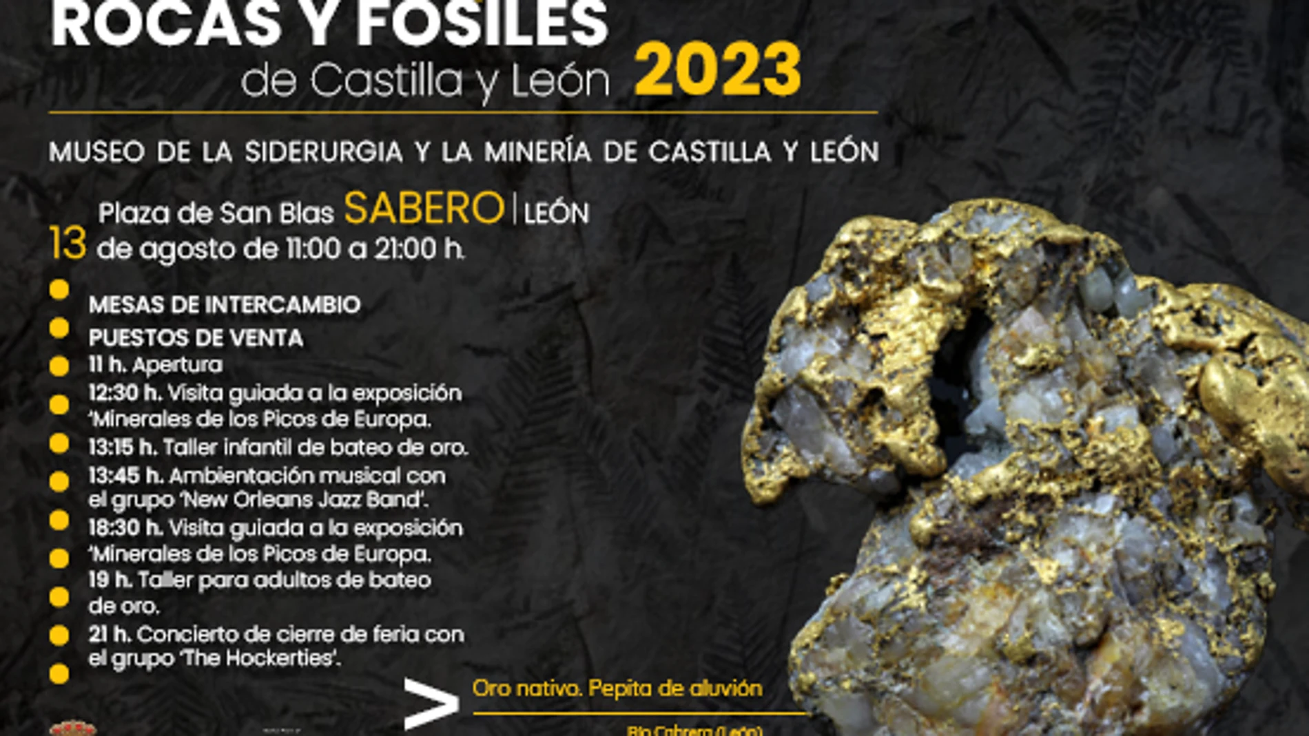 Cartel de la Feria de minerales, rocas y fósiles de Castilla y León