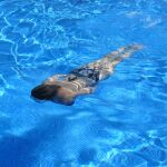 Una chica nada en una piscina