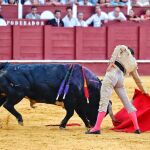 Solitaria oreja para José Garrido en una infumable corrida de Pallarés en Málaga