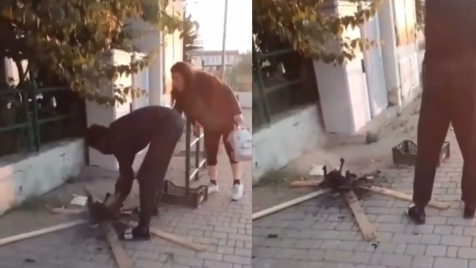 Vídeo: Un hombre cocinando un gato al aire libre desata la indignación